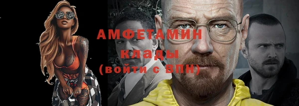 шишки Няндома