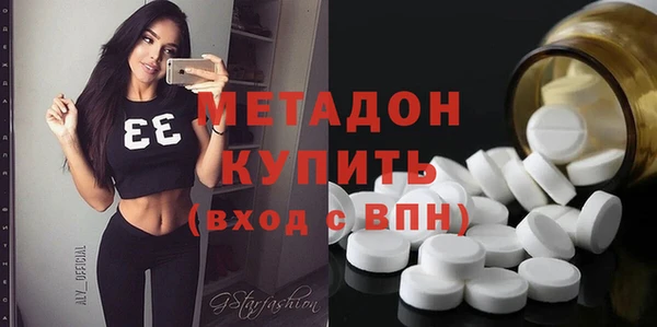 шишки Няндома