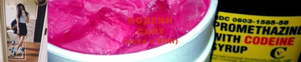 шишки Няндома