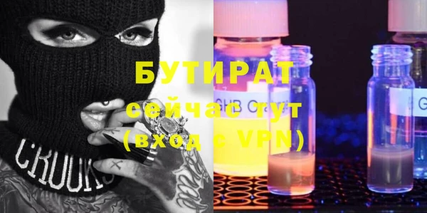 шишки Няндома
