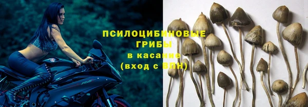 героин Новозыбков