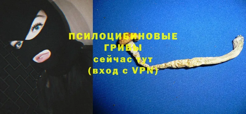 магазин    Апрелевка  Галлюциногенные грибы Psilocybe 