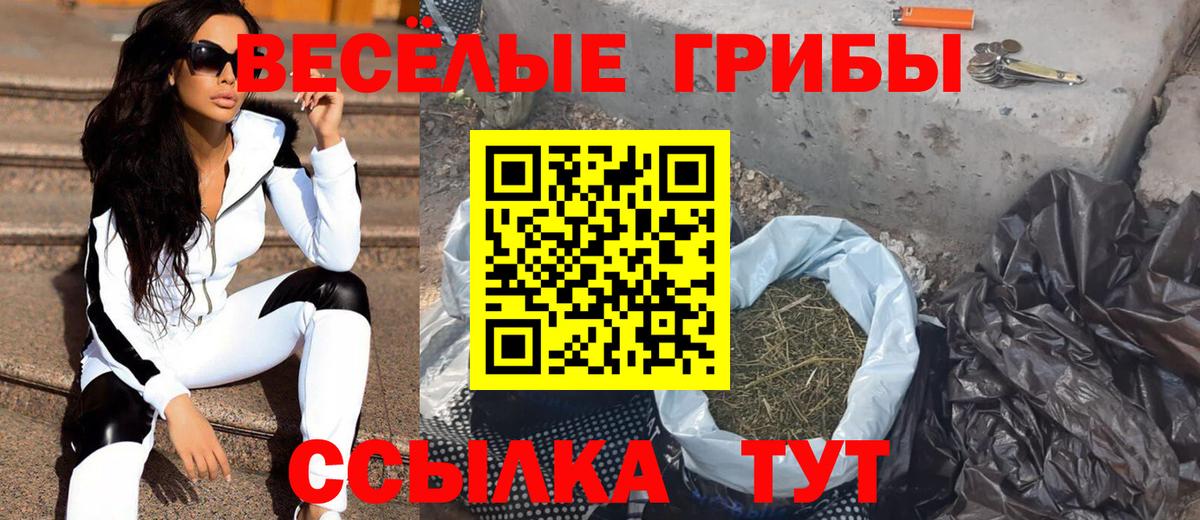 Псилоцибиновые грибы Cubensis  Апрелевка 