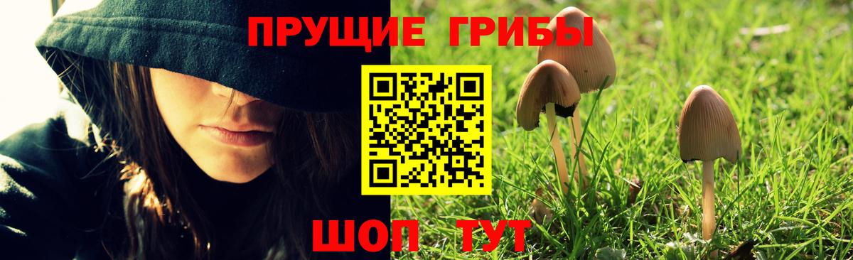 Псилоцибиновые грибы мицелий Апрелевка